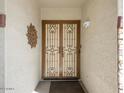 Ornate metal security door at the entryway at 14425 N 137Th Ln, Surprise, AZ 85379