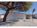 Charming single-story home with a large tree in the front yard and a basketball hoop at 12207 N Escobar Way, Phoenix, AZ 85022
