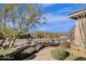 A desert landscape with flowering bushes along a paver walking path at 13827 N Sunset Dr, Fountain Hills, AZ 85268