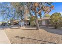 A desert landscape featuring a charming one-story home with mature trees in a peaceful setting at 3349 E Carmel Ave, Mesa, AZ 85204