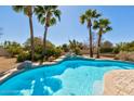 Beautiful pool surrounded by palm trees, creating a private and tropical outdoor oasis at 4803 W Buckskin Trl, Phoenix, AZ 85083