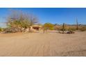 Desert front yard with sparse trees, native vegetation, and a home in the background at 9121 W Quail W Trl, Queen Creek, AZ 85144