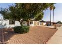 Single-story home with shade tree, low maintenance rock landscaping, and attached two-car garage at 18211 N 24Th Ave, Phoenix, AZ 85023