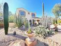 Desert landscaped front yard featuring cacti and succulents at 3807 E Latham Ct, Gilbert, AZ 85297