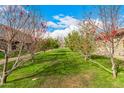 Lush green community lawn with flowering trees creating a park-like setting on a bright, sunny day at 2048 W Elm St, Phoenix, AZ 85015