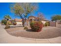 Single-story home with a two-car garage and xeriscaped front yard with mature landscaping at 14105 N 157Th Ct, Surprise, AZ 85379