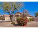Single-story home with a two-car garage and xeriscaped front yard with mature landscaping at 14105 N 157Th Ct, Surprise, AZ 85379