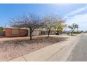 A residential street showcasing the neighborhood homes and mature trees at 3607 N 21St Ave, Phoenix, AZ 85015