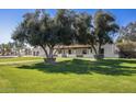 Charming single-story home with mature landscaping, showcasing its inviting curb appeal and well-manicured lawn at 6527 W Bloomfield Rd, Glendale, AZ 85304