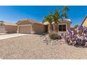 Attractive single-story home boasting low-maintenance landscaping with decorative rocks and vibrant cactus at 6460 S Springs Pl, Chandler, AZ 85249