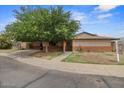 Inviting single-level home with a covered carport and well-maintained front yard landscaping at 6707 N 42Nd Ave, Phoenix, AZ 85019