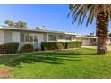 Well-kept front yard featuring lush green grass, trimmed hedges, and a mature shade tree at 10750 W Abbott Ave, Sun City, AZ 85351