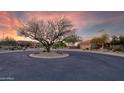 Beautifully landscaped front yard and circular driveway leading up to this home, with community clubhouse in the background at 15848 W Lahlum Ln, Surprise, AZ 85374