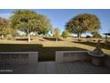 Picturesque backyard featuring a well-maintained lawn, mature trees, and a decorative fountain at 10334 W Highwood Ln, Sun City, AZ 85373