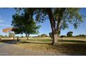 Scenic view of lush green golf course with mature trees, walking path, and park benches at 10334 W Highwood Ln, Sun City, AZ 85373