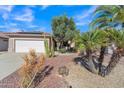 Well-maintained front yard with gravel ground cover, palm trees, barrel cactus and green shrubbery at 16014 W Kino Dr, Surprise, AZ 85374