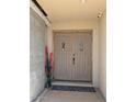 Inviting double front door with tiled floor mat and a potted decorative tree at 45020 N 18Th St, New River, AZ 85087