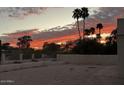 Desert landscaping in the backyard with mature trees and a glimpse of neighborhood homes at 4525 E Onyx Ave, Phoenix, AZ 85028