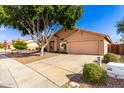 Attractive home with a xeriscaped front yard, mature tree, and a two-car garage enhancing the curb appeal at 1077 E Loma Vista St, Gilbert, AZ 85295