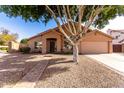 Charming single-story home with a well-maintained yard and mature shade tree enhancing curb appeal at 1077 E Loma Vista St, Gilbert, AZ 85295