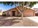 Charming single-story home with a well-maintained yard and mature shade tree enhancing curb appeal at 1077 E Loma Vista St, Gilbert, AZ 85295