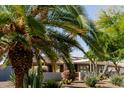 Beautiful desert-style landscaping featuring a variety of cacti, succulents, and privacy walls at 1755 W Lawrence Ln, Phoenix, AZ 85021