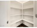 Bright walk-in pantry with white shelving perfect for organized storage at 611 W Crowned Dove Trl, Casa Grande, AZ 85122