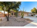 Home's front yard features desert landscaping, mature trees, and a well-maintained lawn, offering curb appeal at 702 S 119Th Ave, Avondale, AZ 85323