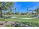 Lush green lawn with walking path and mature palm trees in a well-maintained community park at 17133 W Blue Sky Dr, Surprise, AZ 85387