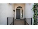 Stylish front door with decorative features and a welcoming gated entry at 737 E Boston St, Gilbert, AZ 85295