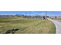 Outdoor pickleball courts surrounded by lush green grass and a paved walkway, perfect for recreational activities at 32087 N Lone Rancher Way, San Tan Valley, AZ 85140