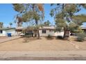 Inviting single-story home with a covered carport, desert landscaping, and mature trees at 808 W 9Th St, Tempe, AZ 85281