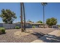 Charming single-story home showcasing mature palm trees and low-maintenance desert landscaping at 10844 N 37Th St, Phoenix, AZ 85028