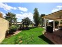 Well-manicured backyard with lush green grass, mature trees, and black metal fencing at 1227 E Sheena Dr, Phoenix, AZ 85022