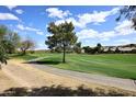 Scenic golf course view featuring lush green grass, mature trees, sand traps and an asphalt cart path at 1227 E Sheena Dr, Phoenix, AZ 85022