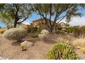 A delightful yard featuring mature trees, desert landscaping, and natural rock accents at 15620 N 19Th St, Phoenix, AZ 85022