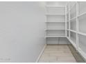 Walk-in pantry providing ample storage space with shelving at 15822 W Bronco Trl, Surprise, AZ 85387
