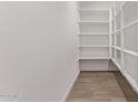 Walk-in pantry with white shelving providing ample storage space for dry goods and supplies at 40499 W Michaels Dr, Maricopa, AZ 85138