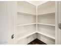 Walk-in pantry with plenty of white shelving to the ceiling for maximum storage at 619 W Pintail Dr, Casa Grande, AZ 85122