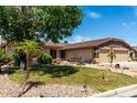 Well-manicured front yard with vibrant green grass and desert landscaping accents, mature trees and palms at 13516 W Windsor Blvd, Litchfield Park, AZ 85340