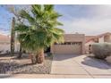 Inviting exterior showcasing a well-maintained front yard with a palm tree and rock landscaping at 11381 E Poinsettia Dr, Scottsdale, AZ 85259