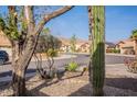 Neighborhood street view with desert landscaping, palm trees, and single-story homes at 11381 E Poinsettia Dr, Scottsdale, AZ 85259