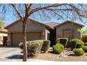 Charming single-story home with well-manicured front yard and mature shade tree at 273 S 152Nd Ave, Goodyear, AZ 85338