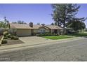 Inviting single-story home with a long driveway, mature trees, and manicured lawn at 325 E Aepli Dr, Tempe, AZ 85282