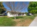 Well-manicured lawn surrounds this single-story home, complemented by mature trees and a sidewalk at 10392 W Deanne Dr, Sun City, AZ 85351