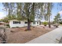 Landscaped front yard featuring mature trees and desert landscaping in front of the single-story home at 1509 W Tuckey Ln, Phoenix, AZ 85015