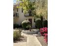 Inviting walkway leading to the home, showcasing lush landscaping and charming architectural details, enhancing curb appeal at 4818 N 73Rd St, Scottsdale, AZ 85251