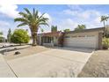 Well-maintained single-story home with desert landscaping, a large palm tree, and a two-car garage at 4001 E Cannon Dr, Phoenix, AZ 85028