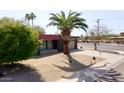 Inviting single-story home with a well-maintained desert landscape, featuring a mature palm tree in the front yard at 4001 E Cannon Dr, Phoenix, AZ 85028