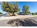 Inviting home on a corner lot with mature trees and a gravel front yard at 1504 E Jasmine St, Mesa, AZ 85203